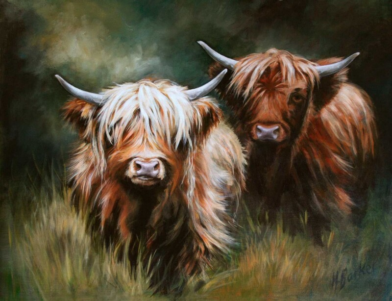 Image of The Yearling Heifers Caotunn and Baravalla Mina by Hillary Barker